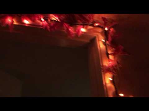 Halloween decor in my room 🎃