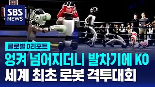 발차기에 KO…중국서 세계 첫 로봇 격투 / SBS / #D리포트