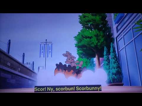 scorbunny