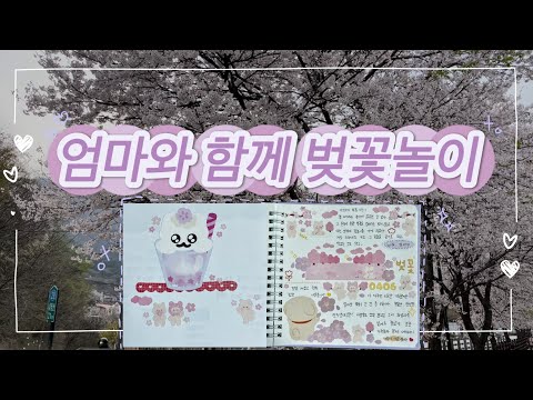 엄마와 함께 한 벚꽃 드라이브 🌸 분홍빛 다꾸 🩷💗