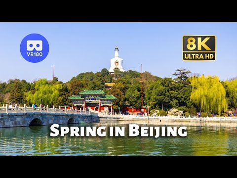 【VR180】Experience the Beautiful Spring in Beijing 北京的春 | Travel China | 8K 60fps