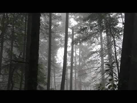 I bit it ate (audio)