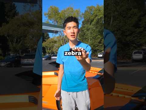 Cooking A Zebra With My Lamborghini! #shorts
