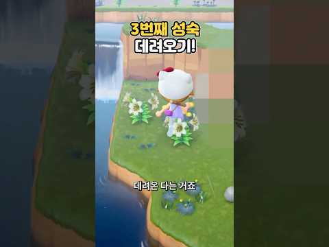 세번째로 나온 성숙주민을 데려오겠습니다 [모동숲]