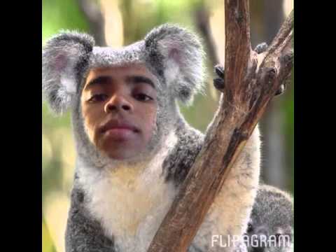 Nevin Flipagram