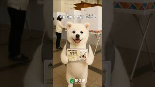 제21대 대통령선거, 달멍이도 투표한다멍🐶 #달성군 #대구 #대통령선거 #대선 #중앙선거관리위원회 #선관위 #투표 #사전투표 #shorts #캠페인 #지자체 #AI #인공지능