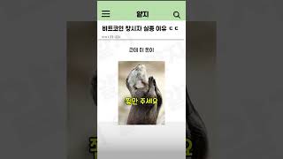 비트코인 창시자가 사라진 이유