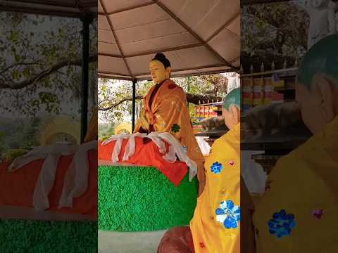 Sarnath ll Buddha spreading knowledge among students #shortvideo #youtubeshorts #viral #trending