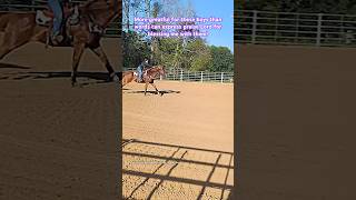 Praise the our Lord Almighty for these blessings #praisethelord #kingjesus #equestrianjourney