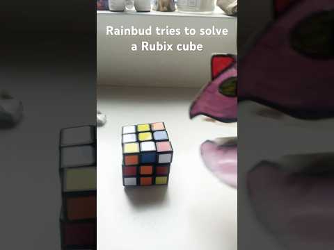 Rainbud doesn’t like taste of Rubix cubes #paperdragon #dragonpuppeteer #dragonpuppet