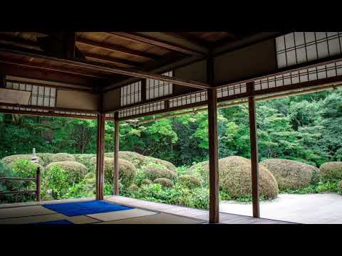 White noise/Sleep music/Study Music(NO Ads) Sound of Mountain 白噪音/睡眠音樂/學習音樂（無廣告） 山林聲音/樹林