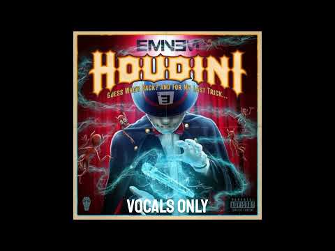 Eminem Houdini but the instrument is steve miller band abracadabra