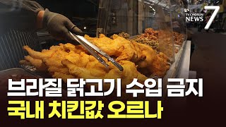 치킨값 더 오르나…'조류인플루엔자' 브라질산 닭고기 수입 금지 [뉴스7]