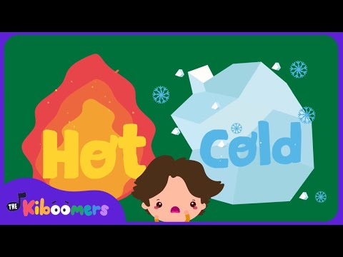 KIDS' FAVORITE Hot or Cold Song Faceoff! | The Kiboomers Kids Songs & Nursery Rhymes