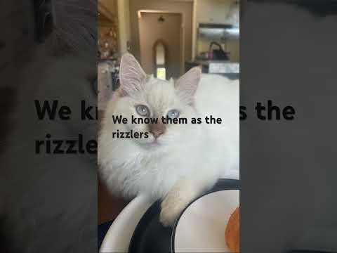The rizzlersss