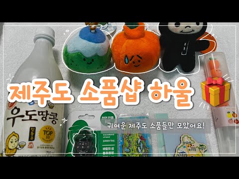 제주도에서 친구 선물 뭘 사야 할까? 🎁 | 다꾸러픽 인형 키링 잔뜩인 제주도 선물템 하울 영상 | 뭘 살지 고민이라면? 🤔