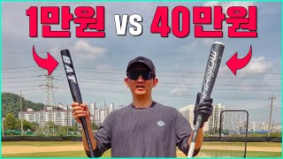 1만원 vs 40만원 야구 배트 비교 (뭐가 다를까?)