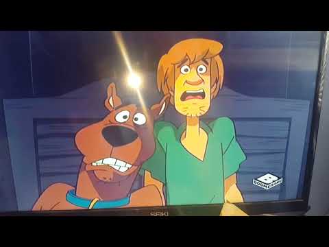 Scooby doo scare shrimp