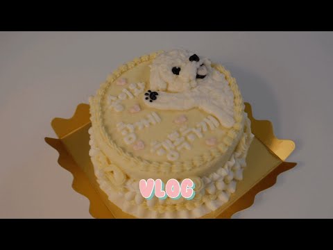 강아지 입양 vlog| 견생 9개월차 미니비숑🐶, 꿈이 이루어진 12살 어린이👧🏻