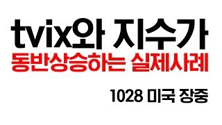 1028 미국 TVIX, UVXY 변동성지수의 개념-실제 사례