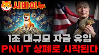 [시바이누코인] 피넛(PNUT)코인 상폐 위기? 1조 규모의 투자자들 이탈 자금이 시바이누로 유입된다..!
