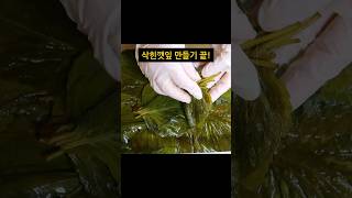 50년째 먹고 있는 삭힌깻잎! 천일염과 꼭 이걸 넣으세요.