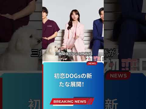 初恋DOGsの新たな展開！
