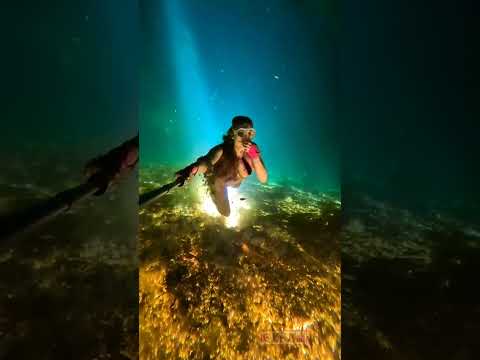Above and below water video #shots #tanding #best
