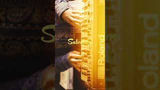 70s synth, 2025 vibes.🔥 #AnalogSynth #RolandSH2 #SynthSolo #ModernSoul #SynthVibes #VAOVAV