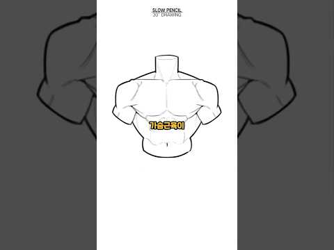 입체적인 가슴 그리는 방법 - [How to draw - How to draw a three-dimensional chest]