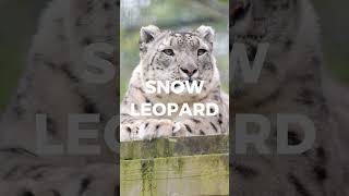 Endangered Species Day