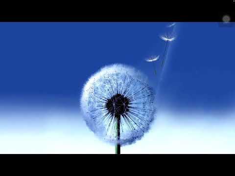 Samsung Galaxy-S3-Over the Horizon (2012)