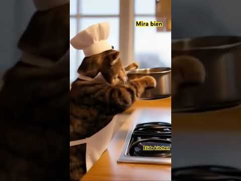 # 🐈desapareció la olla del gato 🐈 No hay comida 🥘 se fue el gato 😮no puede cocinar 🧐