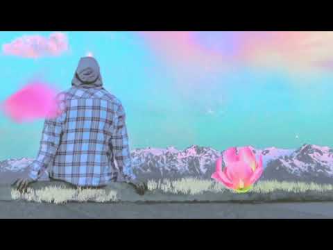 in bloom  - Chill Guitar x Lofi Hiphop Beat (study, sleep, relax, work)