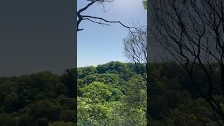 #星田 #星田連山 #アラフィフ #オッサン #登山 #登山好きな人と繋がりたい #低山登山 #ピークハント