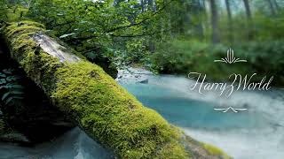 NatureBeats || HarryZWorld || Nature Music