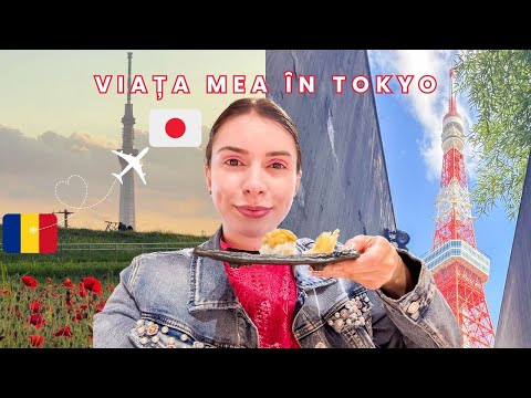 Singură din nou în Japonia: Cum m-am readaptat și ce mi-a lipsit după o lună în România