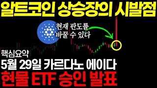 [에이다] 알트코인 대장주 등극할까?