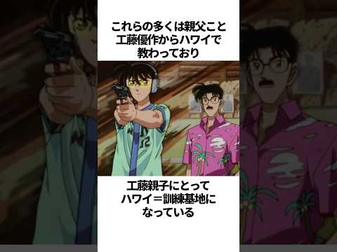 【名探偵コナン】親父にハワイで教わった…