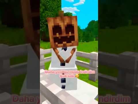 #reels #shorts #minecraft