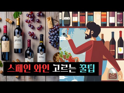 스페인 1달 살고 온 여행자가 '맛있는 와인' 찾아드립니다!