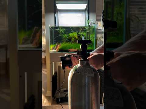 Co2 system for the plants