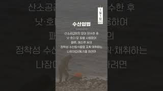 수산업법 알려Dream #1일1법 #shorts #쇼츠