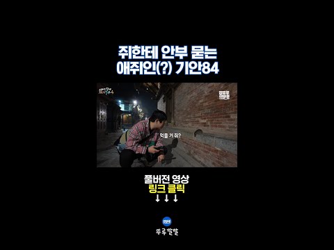 쥐한테 손 내민 사람 처음 봄 [뚜루깔깔] #태계일주4 #기안84