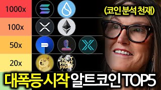 비트코인 천재 분석가 예언으로 폭등할 알트코인 TOP5 공개