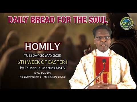 HOMILY | 20 MAY 2025 | FIFTH WEEK OF EASTER I by Fr. Manuel MSFS #homily #sermons #dailyreflections