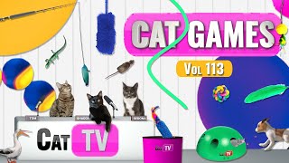 CAT Games | Ultimate Cat TV Compilation Vol 113 | 6 HOURS  🐝🐞🦋🦎🦜🐜🐭🧵