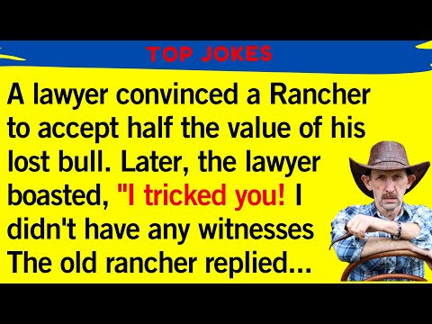 BEST JOKES OF THE WEEK "The Lawyer Thought He Won...!" FUNNY Jokes!