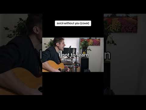 Avicii Without You (cover)