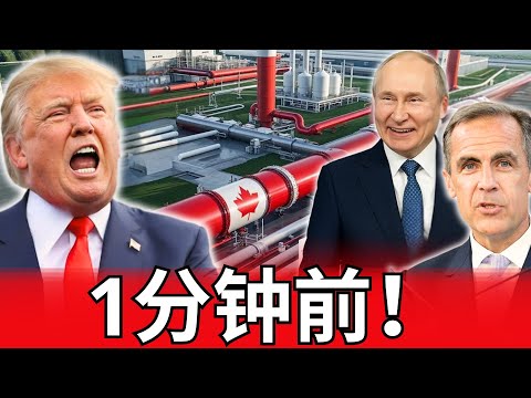 1万亿美元蒸发！加拿大重拳出击，猛烈打击美国石油产业，强硬报复特朗普关税政策！这场经济战全面升级，让特朗普措手不及，美国能源领域遭遇致命打击，后果正逐步显现，局势正在迅速失控！
